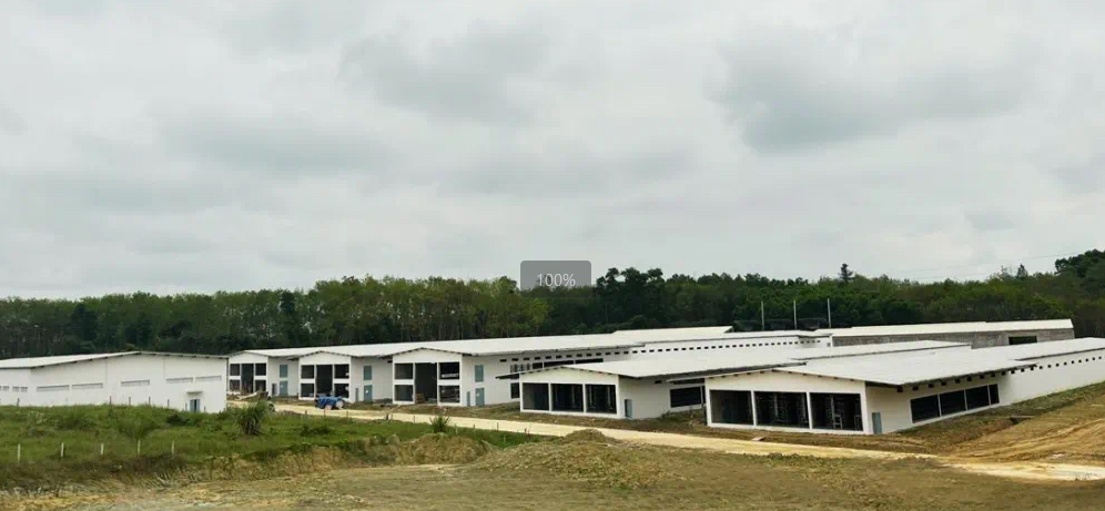 海南首歐蛋雞項目